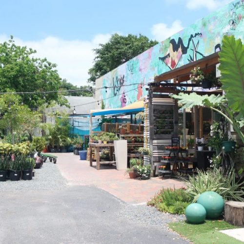 Wynwood Garden Center Miami Sites
