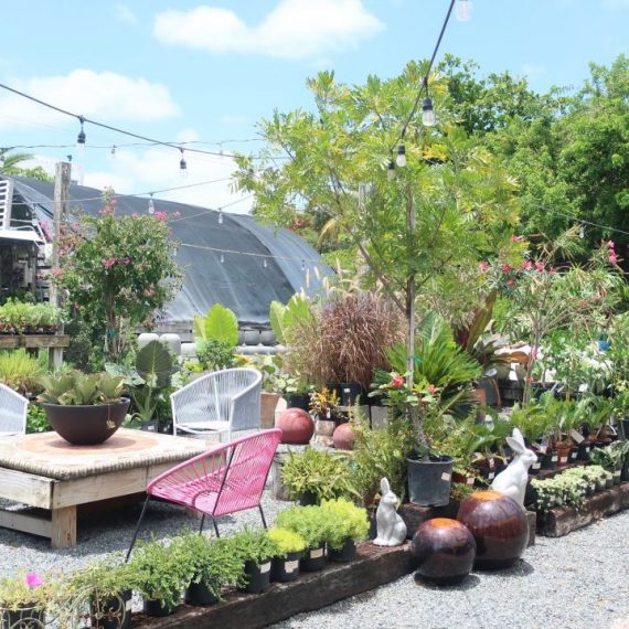 Wynwood Garden Center Miami Sites