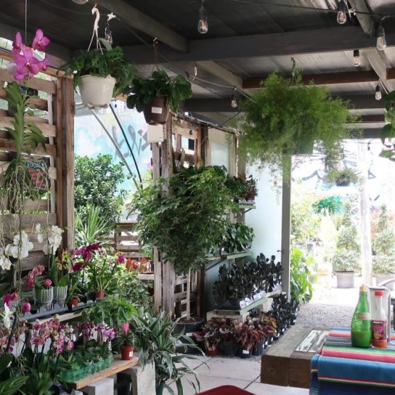 Wynwood Garden Center Miami Sites