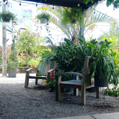 Wynwood Garden Center Miami Sites