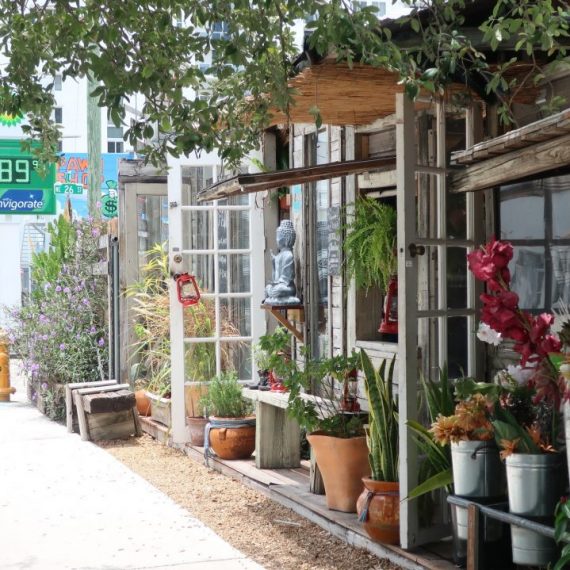 Wynwood Garden Center Miami Sites