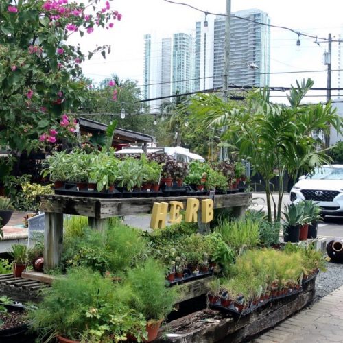 Wynwood Garden Center Miami Sites