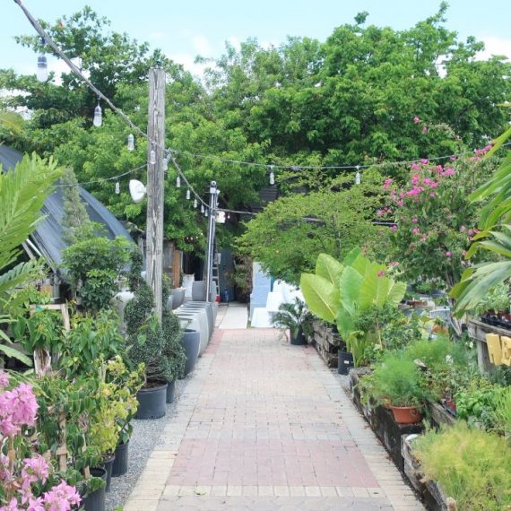 Wynwood Garden Center Miami Sites
